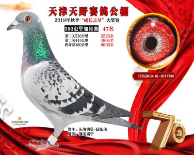 天津天野加站赛47名