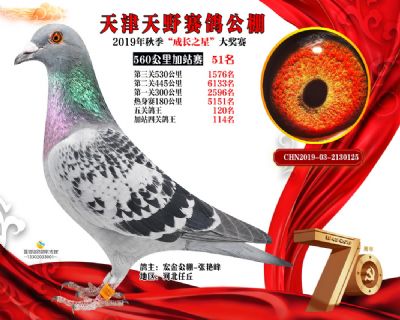 天津天野加站赛51名
