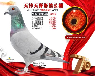 天津天野加站赛52名