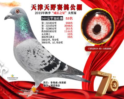天津天野加站赛53名