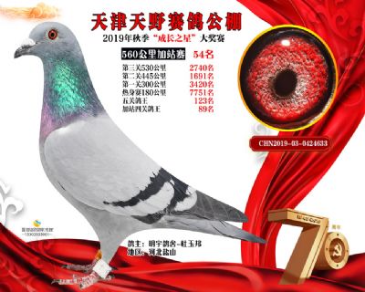 天津天野加站赛54名