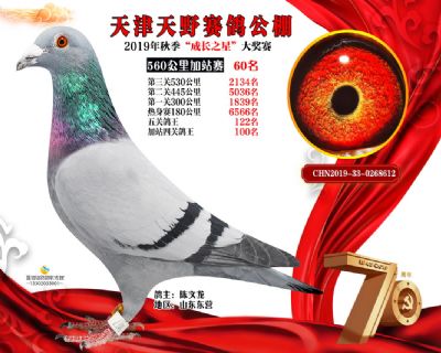天津天野加站赛60名