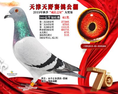 天津天野加站赛61名