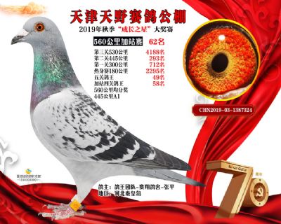 天津天野加站赛62名