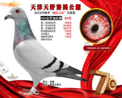 天津天野加站赛63名