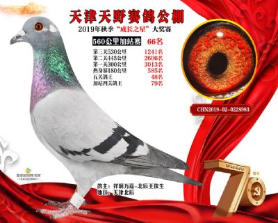 天津天野加站赛66名