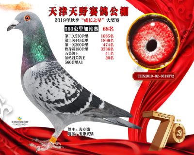 天津天野加站赛68名