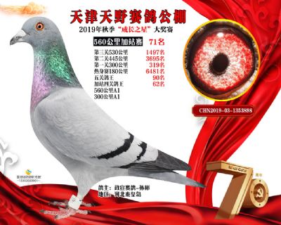 天津天野加站赛71名