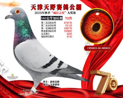 天津天野加站赛72名