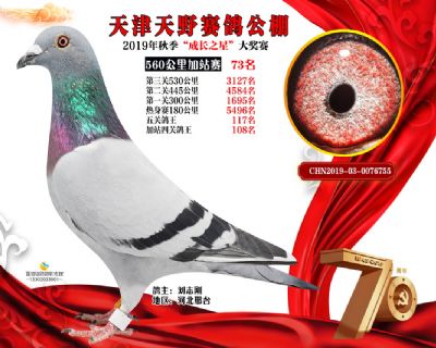 天津天野加站赛73名