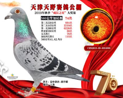 天津天野加站赛74名
