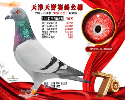 天津天野加站赛76名