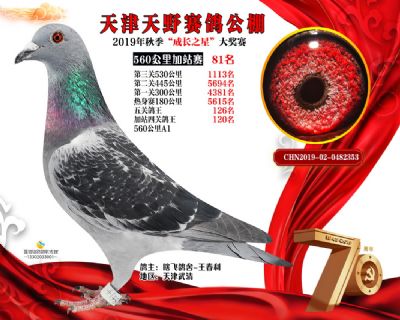 天津天野加站赛81名