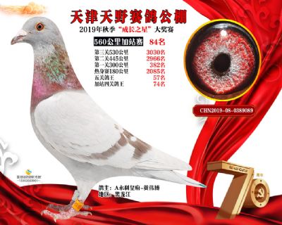 天津天野加站赛84名