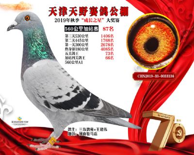天津天野加站赛87名
