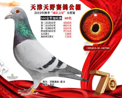 天津天野加站赛89名