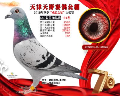 天津天野加站赛91名