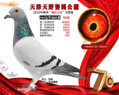 天津天野加站赛92名