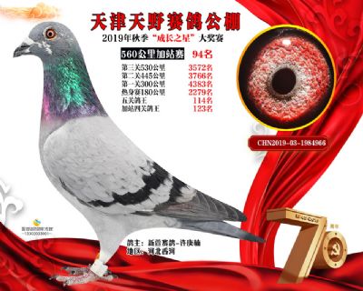 天津天野加站赛94名