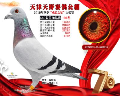 天津天野加站赛96名