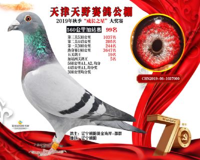 天津天野加站赛99名
