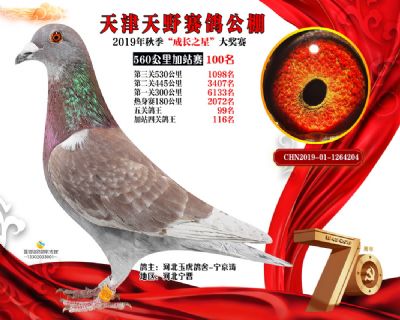 天津天野加站赛100名
