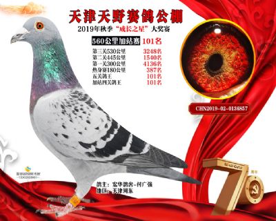 天津天野加站赛101名