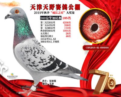 天津天野加站赛105名