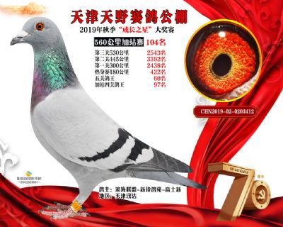 天津天野加站赛104名