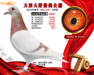 天津天野加站赛106名
