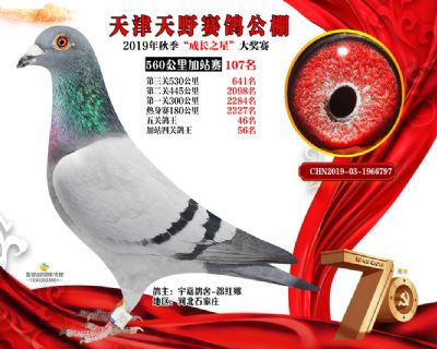 天津天野加站赛107名