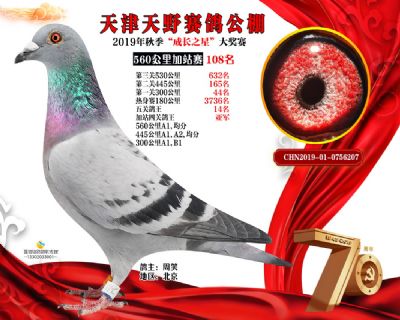 天津天野加站赛108名
