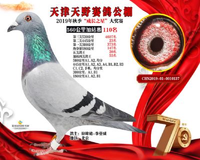 天津天野加站赛110名