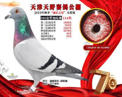 天津天野加站赛114名