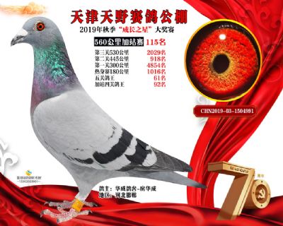 天津天野加站赛115名