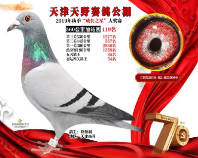 天津天野加站赛119名