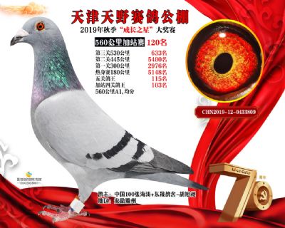 天津天野加站赛120名