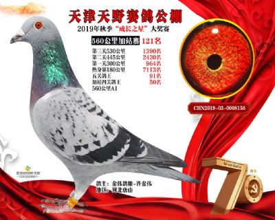天津天野加站赛121名