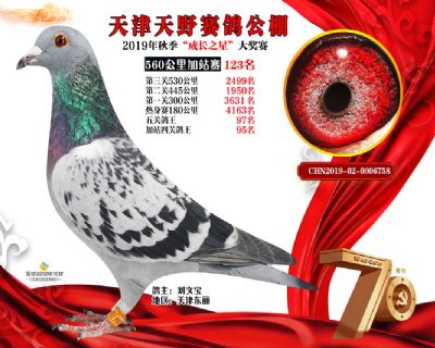 天津天野加站赛123名