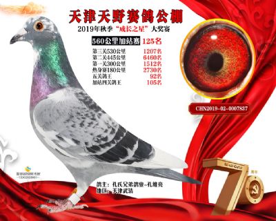 天津天野加站赛125名