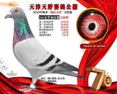 天津天野加站赛126名