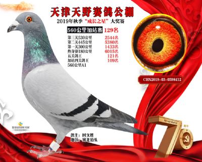 天津天野加站赛129名