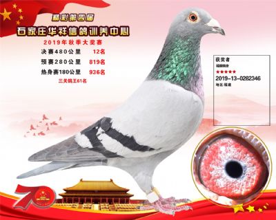 华祥公棚2019年决赛12名