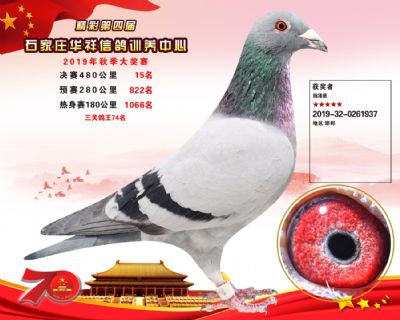 华祥公棚2019年决赛15名