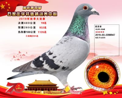 华祥公棚2019年决赛19名