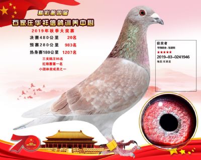 华祥公棚2019年决赛20名(红绛赛第一名)