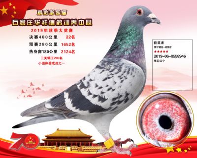 华祥公棚2019年决赛22名