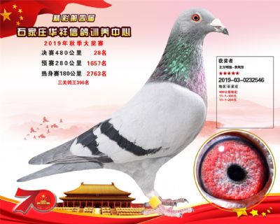 华祥公棚2019年决赛28名