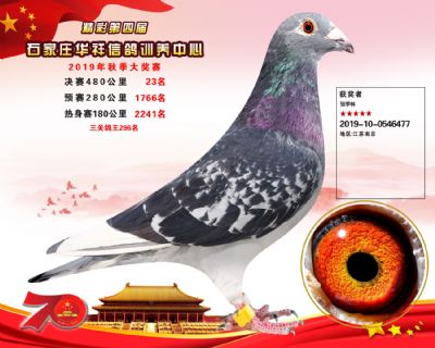 华祥公棚2019年决赛23名