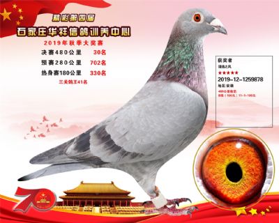 华祥公棚2019年决赛30名